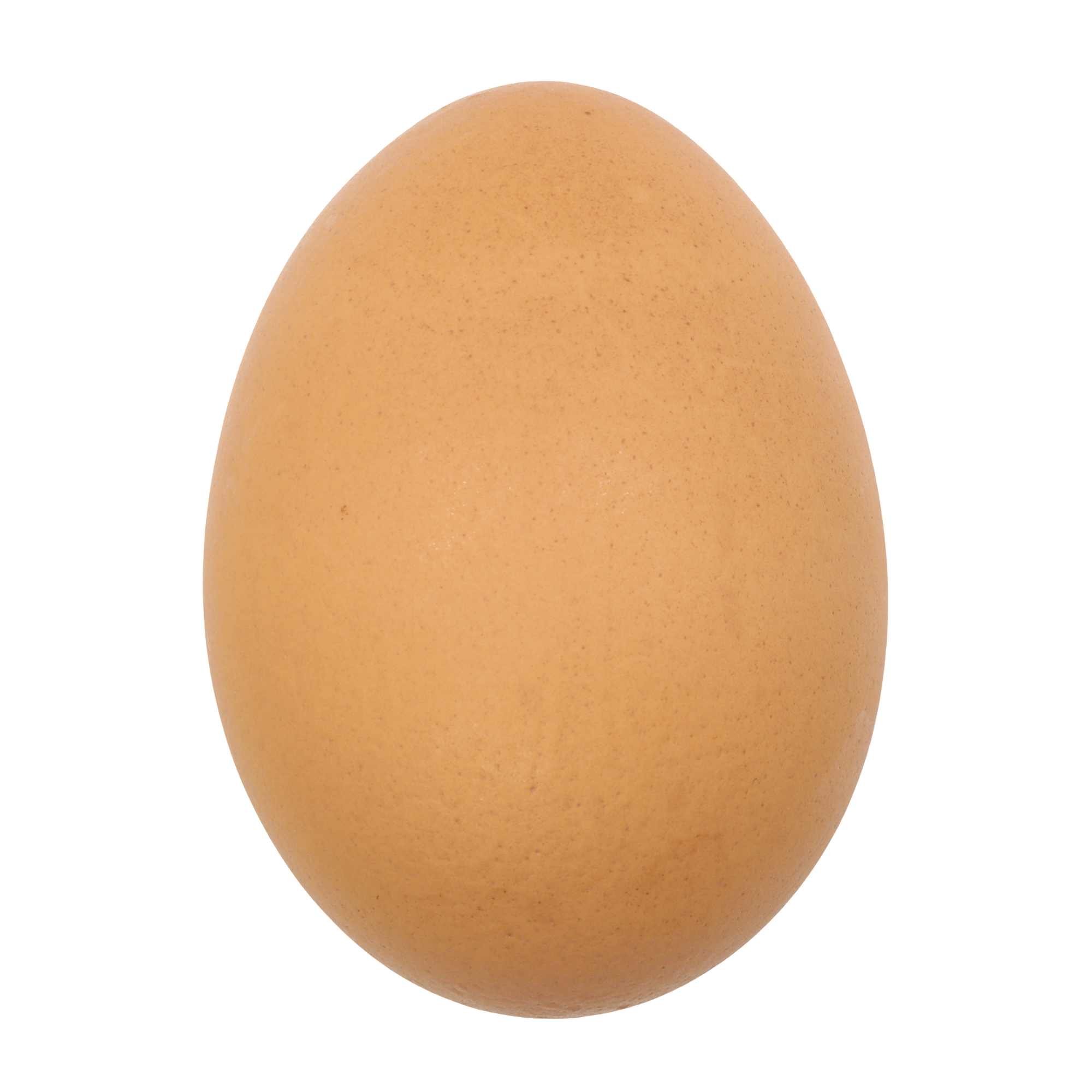 Side Egg